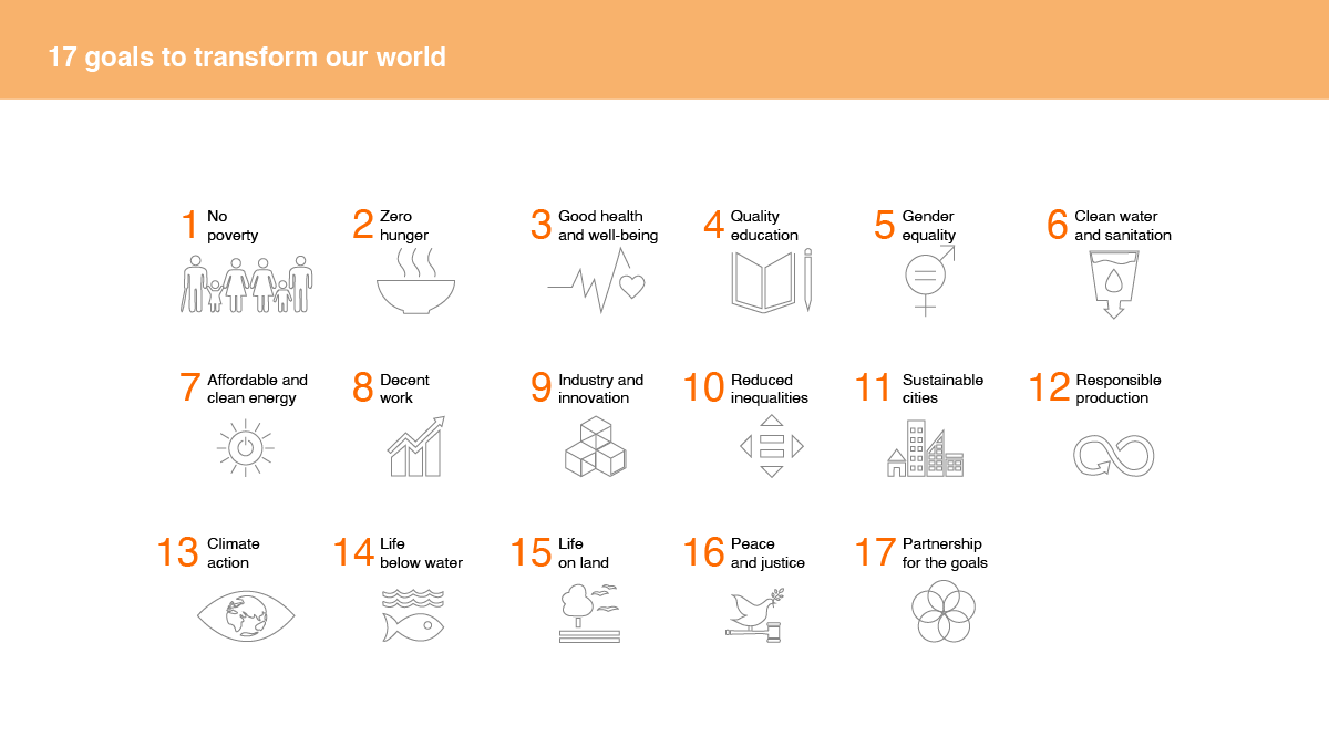 Sustainable development goals explained