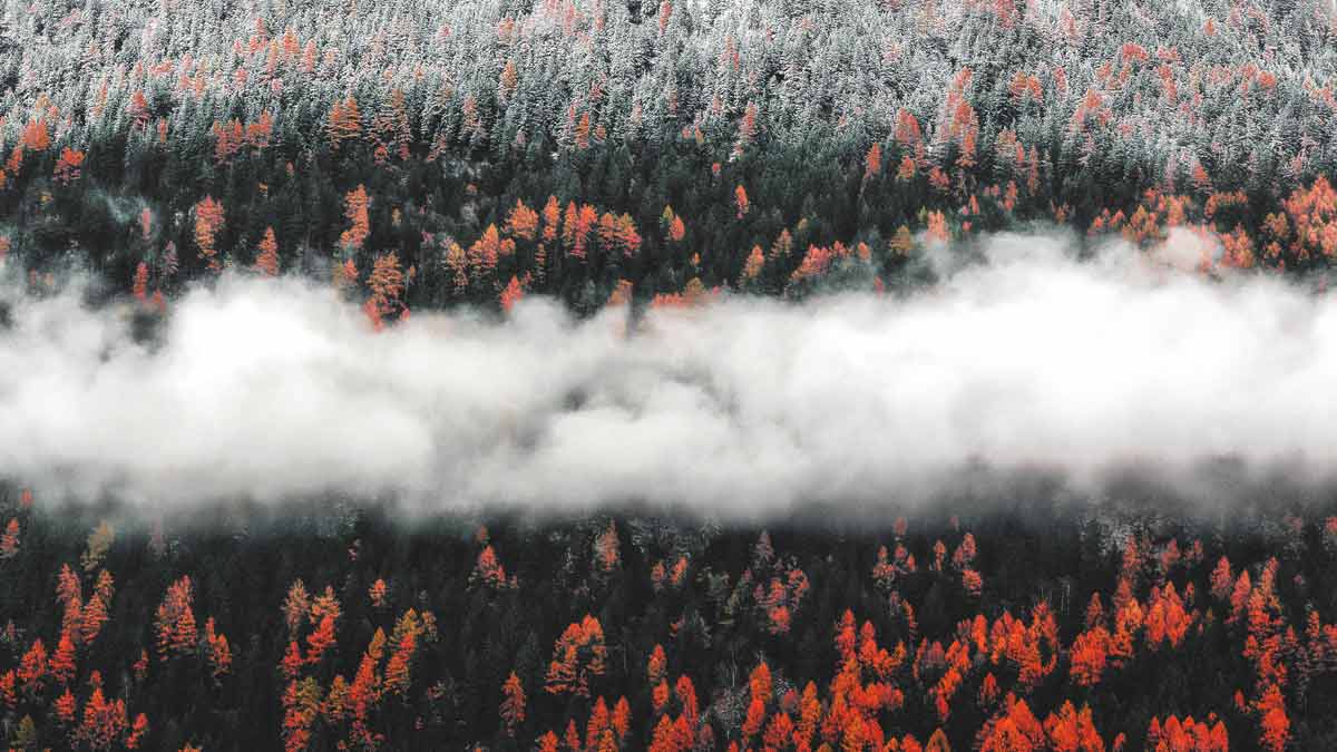 Cómo morimos: causas de fallecimiento más comunes en el mundo