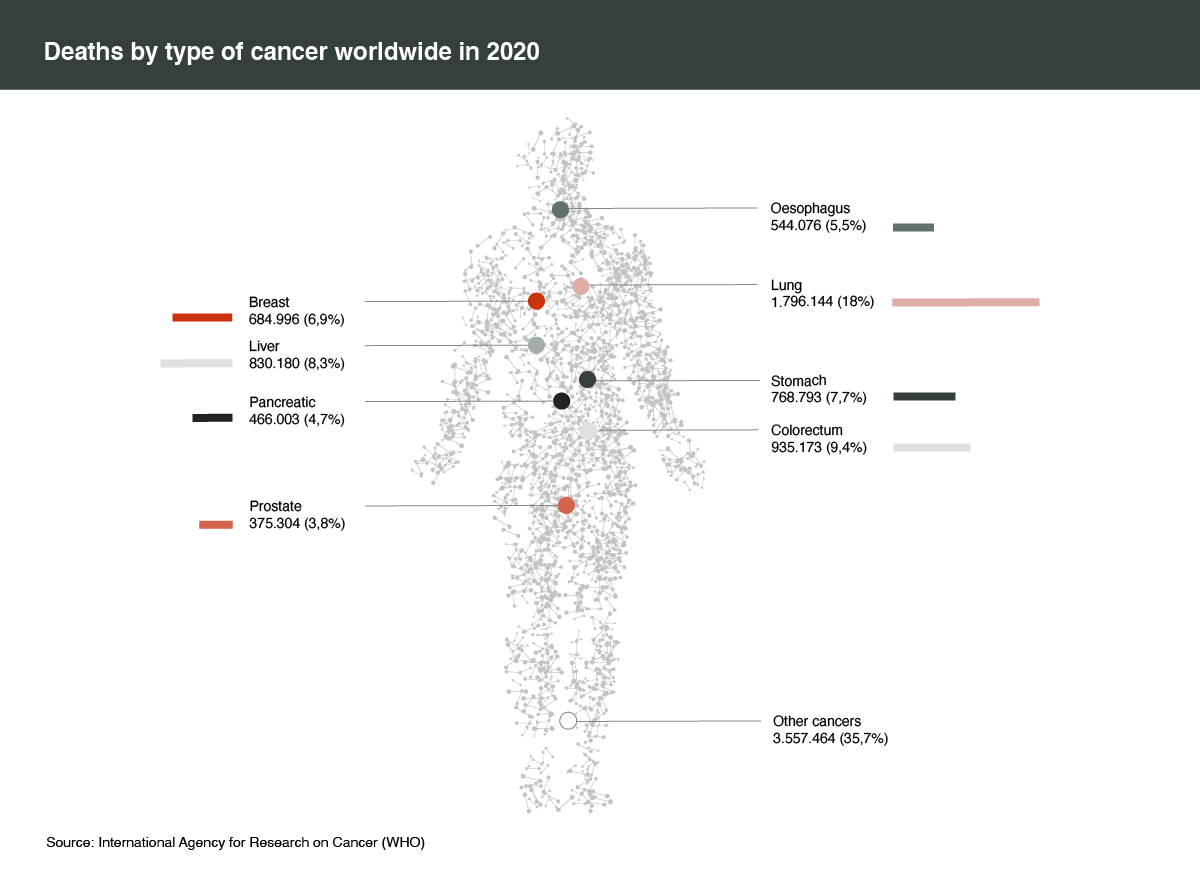 How we die: causes of death worldwide